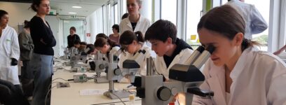 Ein Klassenzimmer voller Fliegen – und das ganz ohne Fliegenklatsche!