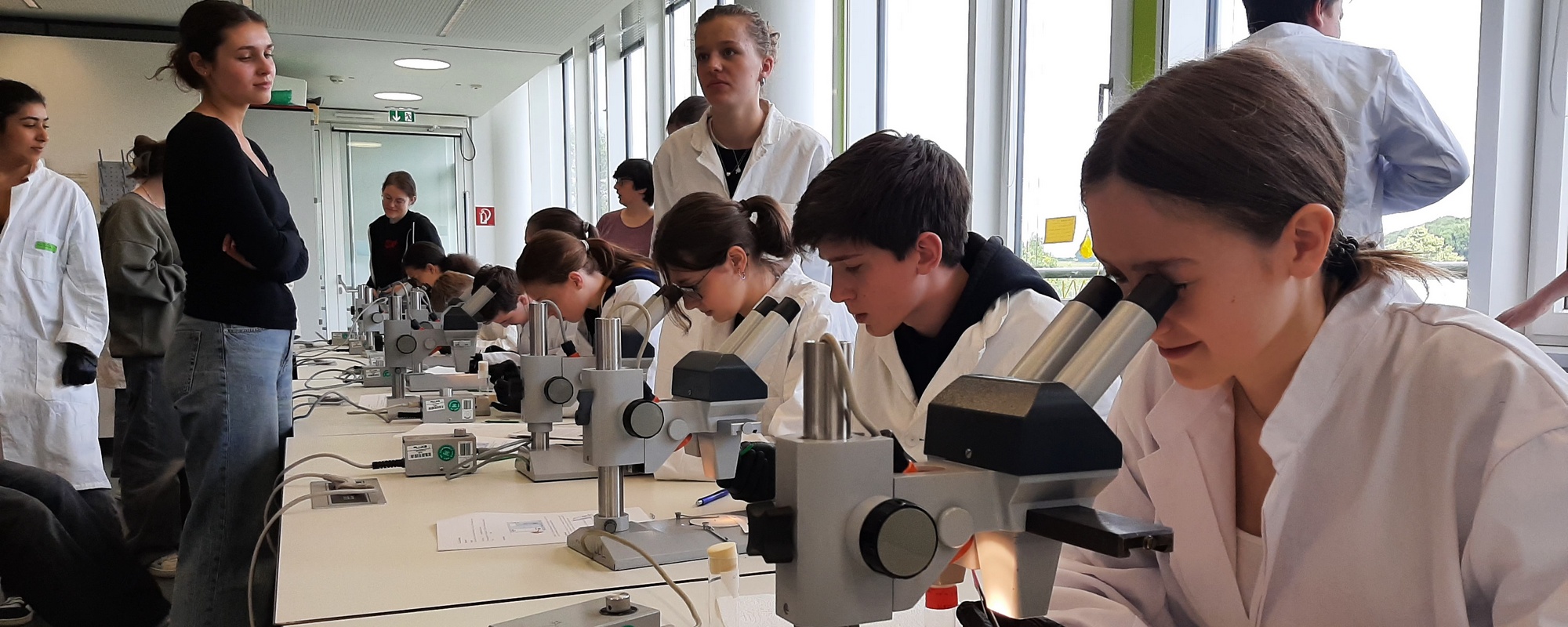 Ein Klassenzimmer voller Fliegen – und das ganz ohne Fliegenklatsche!
