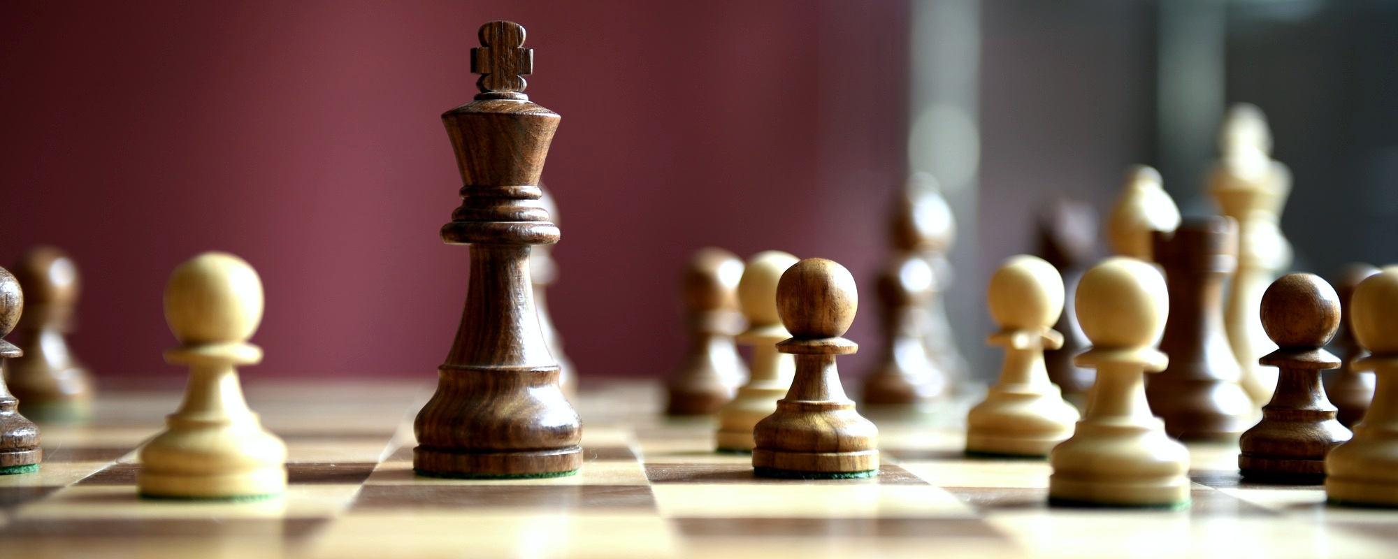 Von der Schach-AG ins internationale Ranking