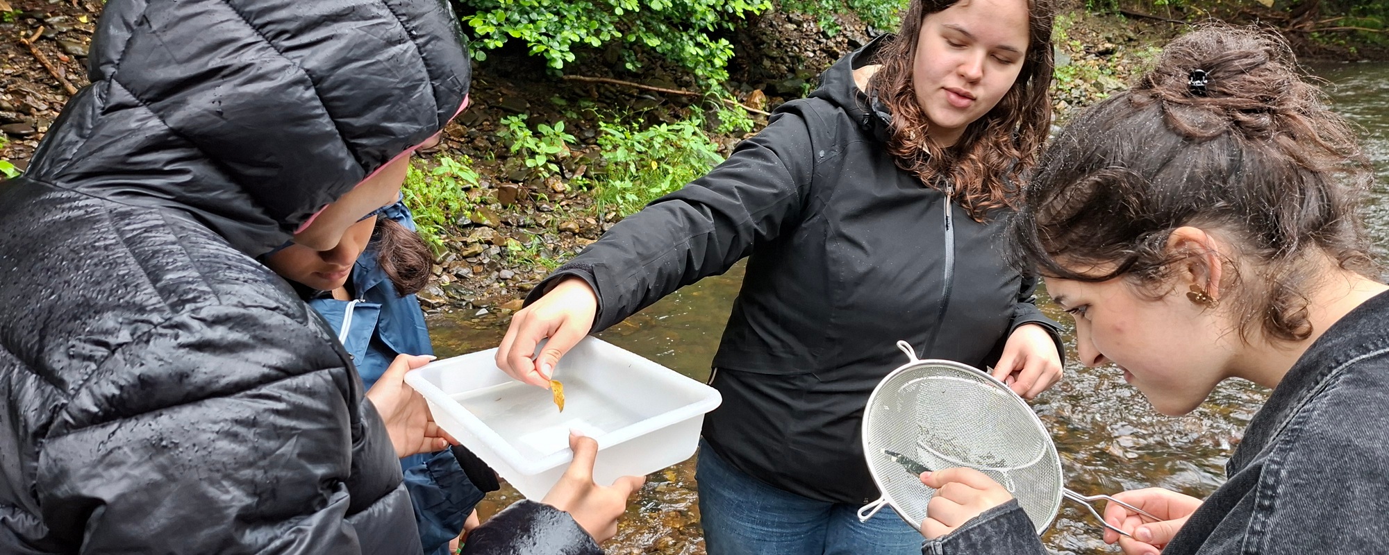 Von Bachflohkrebsen, Regentropfen und unsichtbaren Spuren…