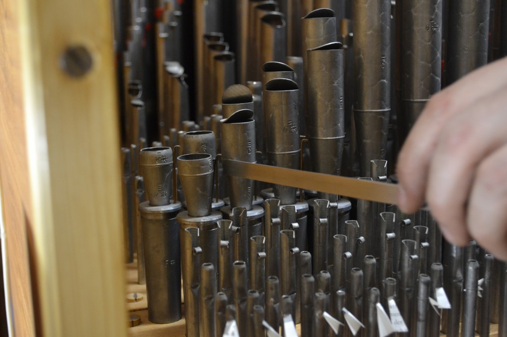 Stimmen im Schwellwerk