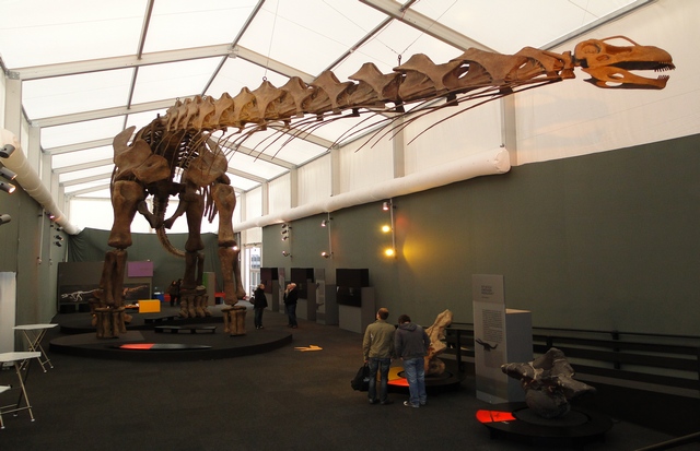 Dinosaurier Museum Bonn