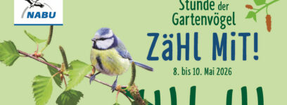 Citizen Science für alle: Stunde der Gartenvögel