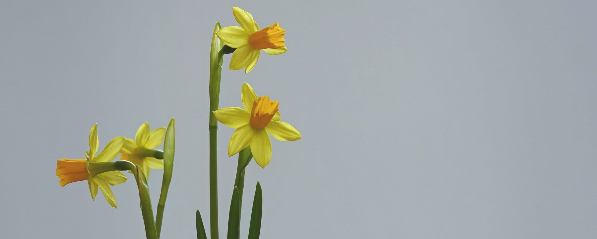 Schöne Osterferien!