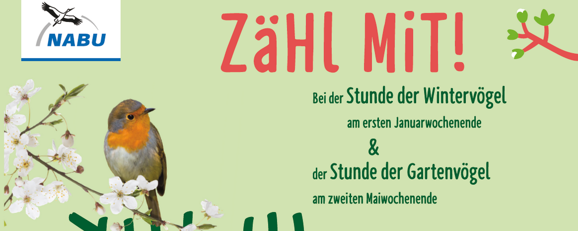 13.-16. Mai: Stunde der Gartenvögel – macht mit!